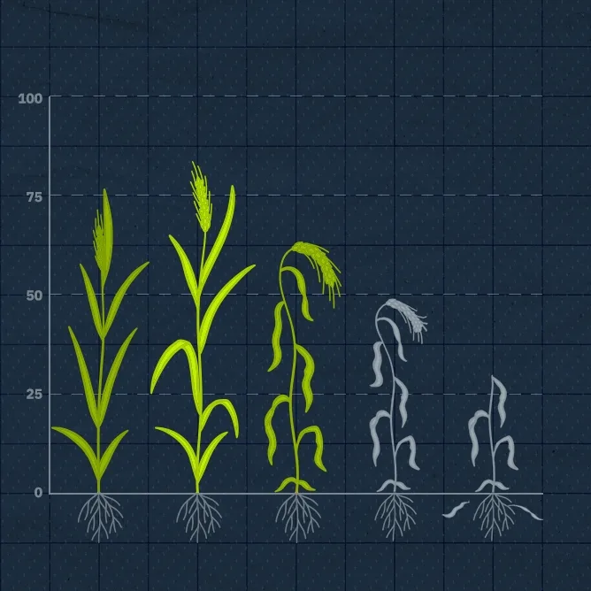 25 TSI5487 Investment Mathematics Blog 2376x1062