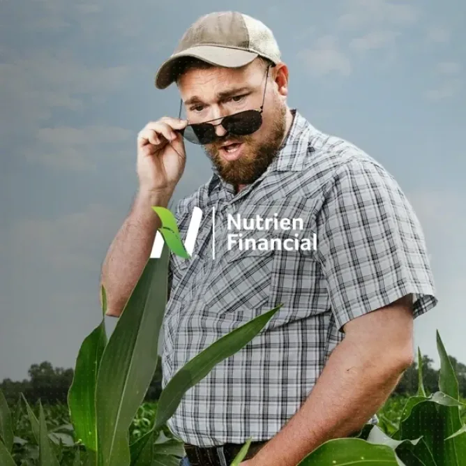 Nutrien financial featured image