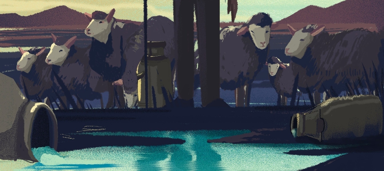 1343x600 blog well fence