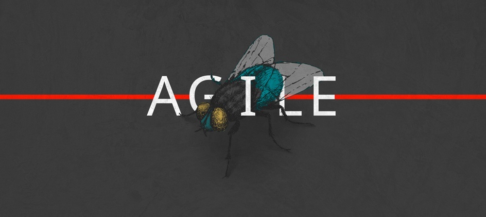 TS blog creative aligile 1000x447