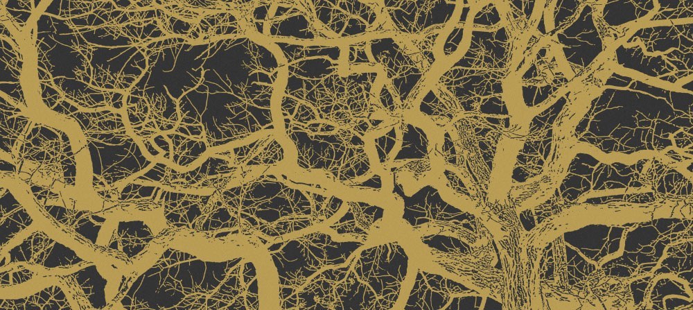 TS blog growing digital 1000x447