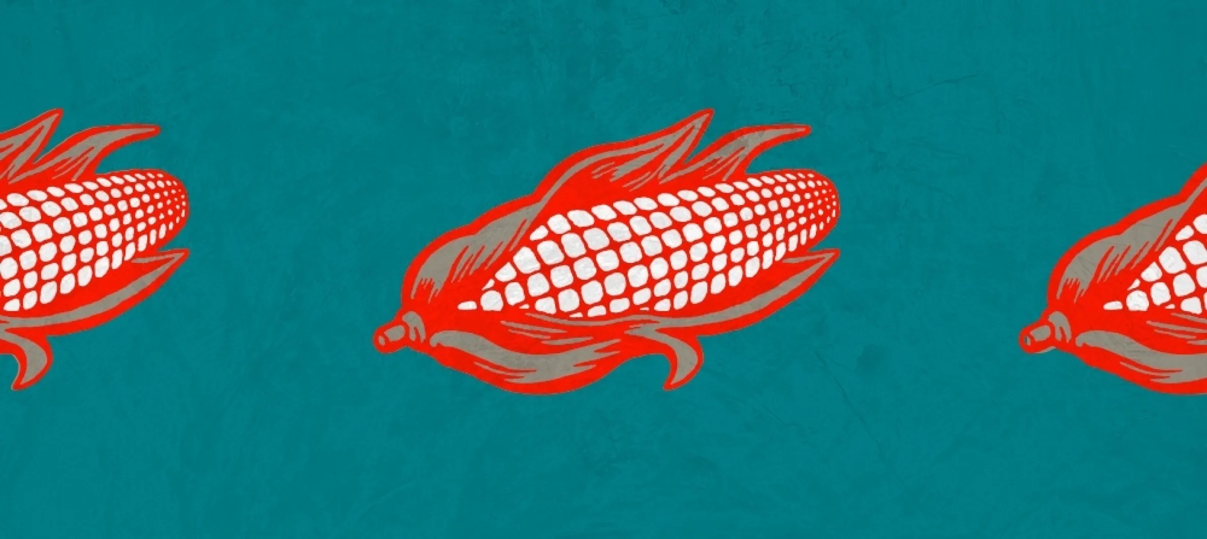 TS blog how to design for ag 1000x447