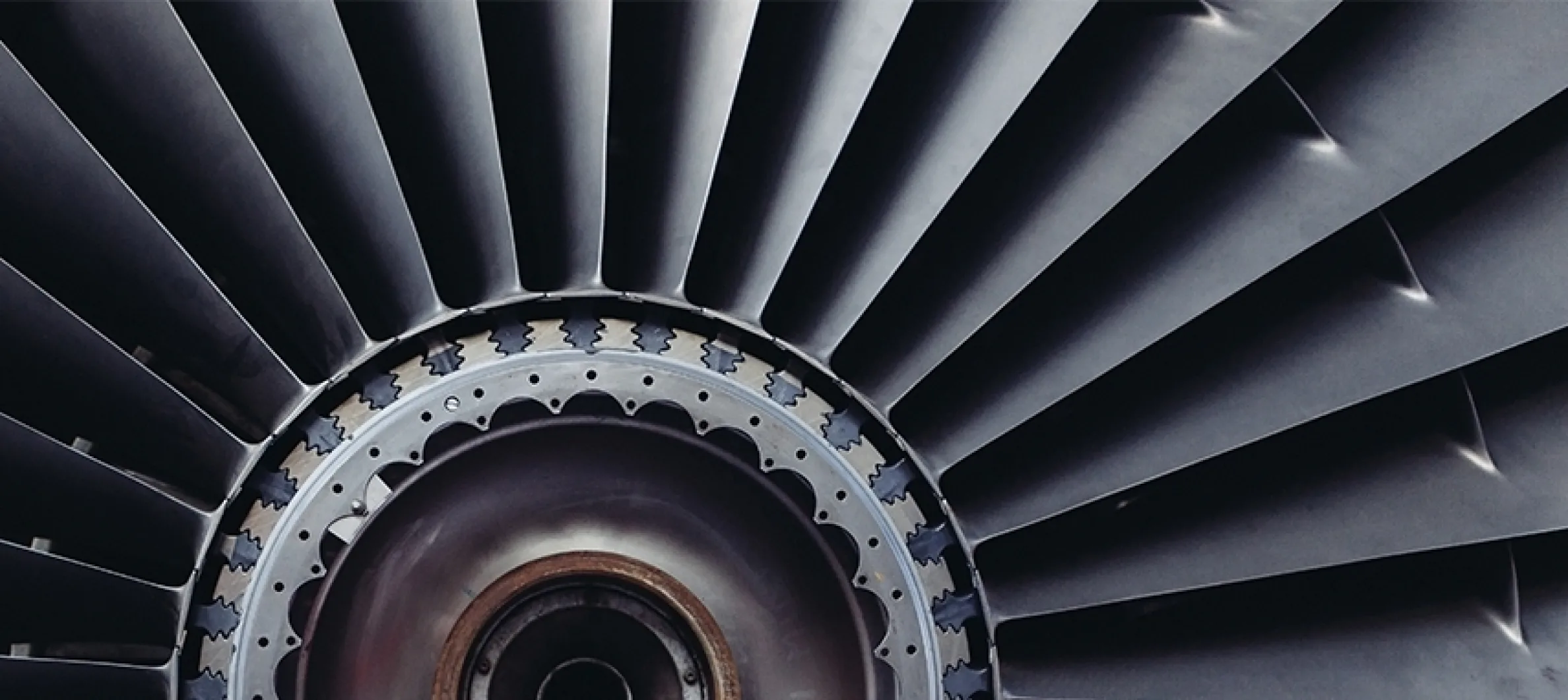 ROL infographic header 855x382