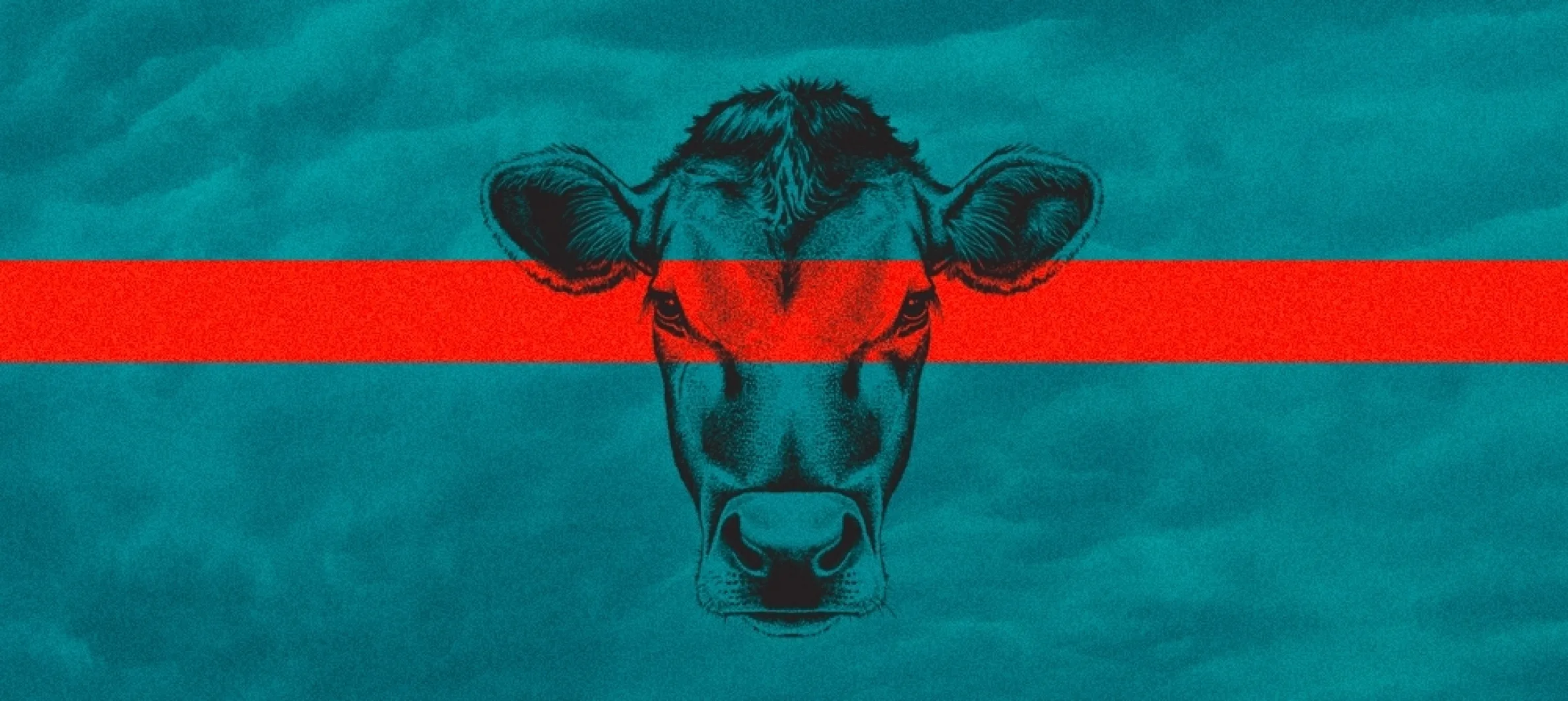 1000x447 blog new beef