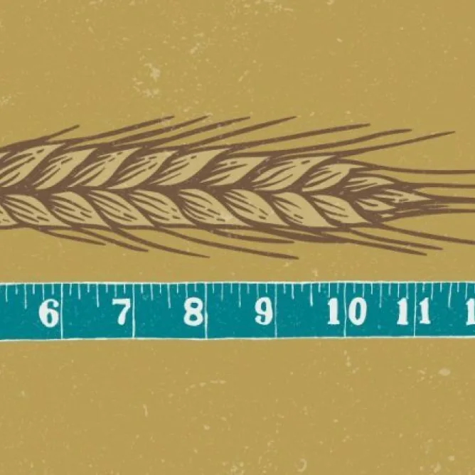 2023 Digital Advertising Benchmarks For Agriculture