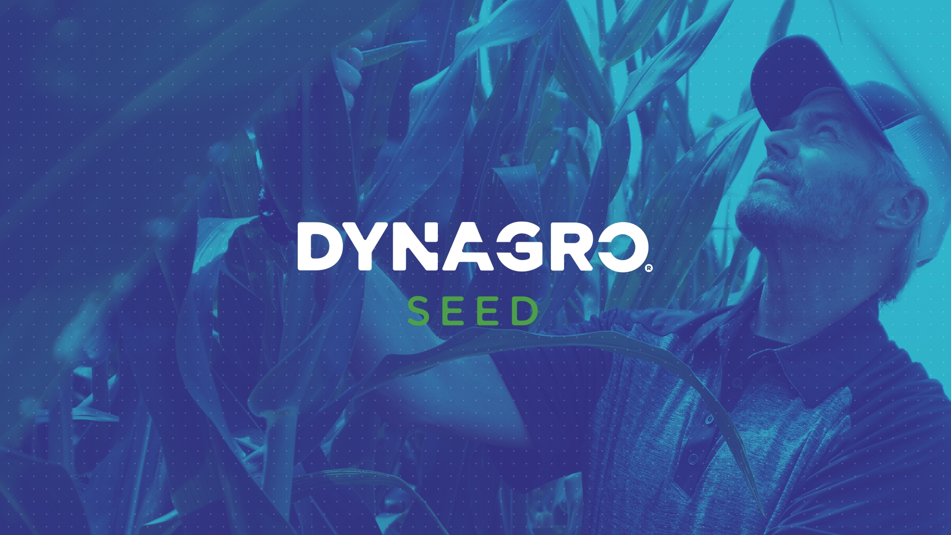 Dyna Gro feature
